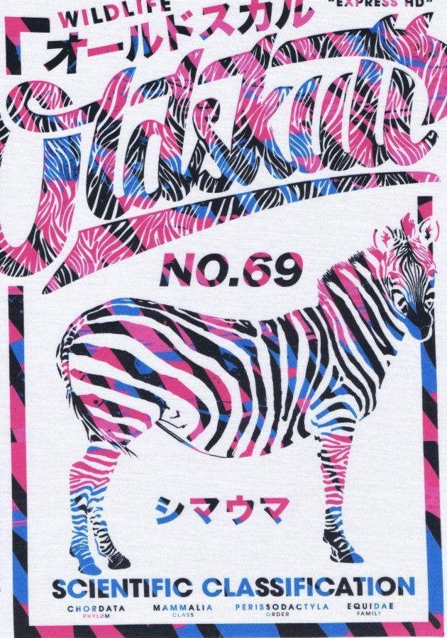 Zebra print T-shirt pink and blue colour no. 69 scientific classification